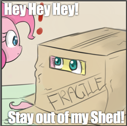 Size: 409x406 | Tagged: safe, artist:speccysy, fluttershy, pinkie pie, earth pony, pegasus, pony, .mov, box, cardboard box, cute, exclamation point, eye contact, konami, metal gear, pony.mov, shed.mov, stay out of my shed, wide eyes