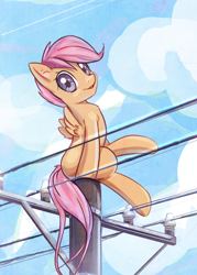 Size: 2254x3152 | Tagged: safe, artist:mirroredsea, scootaloo, pegasus, pony, behaving like a bird, cloud, female, filly, looking at you, looking back, sitting, sky, smiling, solo, telephone pole