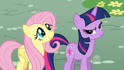 Size: 640x360 | Tagged: safe, derpibooru import, screencap, fluttershy, twilight sparkle, unicorn twilight, pegasus, pony, unicorn, dragonshy, duo, female, hub logo, mare, mid-blink screencap