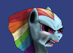 Size: 1980x1440 | Tagged: safe, artist:aaronmk, rainbow dash, pegasus, pony, bad hair day, bad mane day, disapproval, displeased, makeup, nightmare fuel