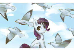 Size: 1500x1030 | Tagged: safe, artist:mirroredsea, rarity, pony, seagull, unicorn, female, looking at you, mare, smiling, solo