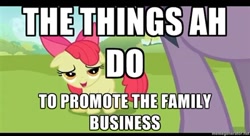 Size: 400x217 | Tagged: safe, derpibooru import, edit, edited screencap, screencap, apple bloom, twilight sparkle, earth pony, pony, caption, female, filly, image macro, innuendo, mare