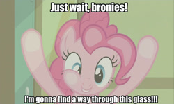 Size: 1199x718 | Tagged: safe, edit, edited screencap, screencap, pinkie pie, earth pony, pony, against glass, fourth wall, image macro, ponibooru, solo