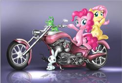 Size: 961x652 | Tagged: safe, artist:nubiankitten, angel bunny, fluttershy, gummy, pinkie pie, earth pony, pegasus, pony, motorcycle