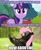 Size: 500x614 | Tagged: safe, derpibooru import, edit, fluttershy, twilight sparkle, pegasus, pony, comic, flutterbear, how about no, reaction image, wat