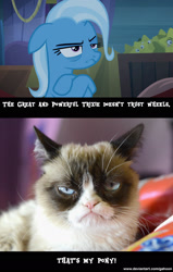 Size: 1280x2010 | Tagged: safe, artist:gahoon, derpibooru import, edit, edited screencap, screencap, trixie, pony, road to friendship, comparison, grumpy cat, that pony sure does hate wheels