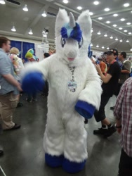 Size: 1536x2048 | Tagged: safe, shining armor, human, cosplay, fursuit, irl, irl human, photo