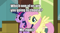 Size: 977x539 | Tagged: safe, derpibooru import, fluttershy, twilight sparkle, pegasus, pony, choice, image macro, question