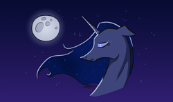 Size: 1600x945 | Tagged: safe, artist:jelon/jeloonek, princess luna, alicorn, pony, moon, night, solo