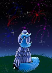 Size: 1600x2263 | Tagged: safe, artist:panhaukatze, princess luna, alicorn, pony, fireworks, looking up, rear view, s1 luna, sitting, solo