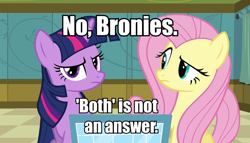 Size: 945x539 | Tagged: safe, derpibooru import, fluttershy, twilight sparkle, pegasus, pony, brony, fourth wall, image macro