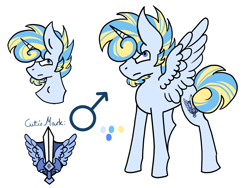 Size: 1600x1200 | Tagged: safe, artist:hunterthewastelander, oc, oc:snowstorm brina cavaliere, alicorn, pony, alicorn oc, bust, frown, male, offspring, parent:princess cadance, parent:shining armor, parents:shiningcadance, reference sheet, shield, simple background, stallion, story included, sword, transgender, weapon, white background