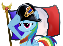 Size: 800x584 | Tagged: safe, artist:gefey, rainbow dash, pegasus, pony, bicorne, cute, dashabetes, element of loyalty, feminism, france, french, general, napoleon bonaparte, rainbow dash always dresses in style, rainbow dash salutes, salute, warlord