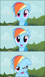 Size: 644x1085 | Tagged: safe, screencap, rainbow dash, pegasus, pony, blue mane, female, mare, multicolored mane