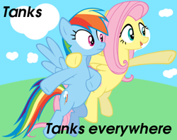 Size: 500x396 | Tagged: safe, fluttershy, rainbow dash, tank, pegasus, pony, exploitable meme, meme, meta, x x everywhere