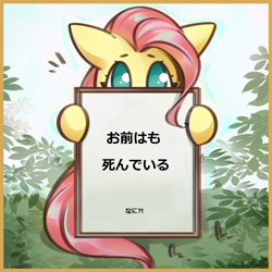 Size: 1200x1200 | Tagged: safe, artist:mirroredsea, editor:horsesplease, fluttershy, pegasus, pony, cute, fluttershy's reiwa declaration, hokuto no ken, imminent death, japanese, meme, misspelling, omae wa mou shindeiru, shyabetes, stare, subversive kawaii, the stare, wat, why, you are already dead, お前はもう死んでいる