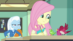 Size: 1280x720 | Tagged: safe, derpibooru import, screencap, fluttershy, trixie, a little birdie told me, better together, equestria girls