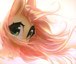 Size: 2600x2194 | Tagged: safe, artist:mirroredsea, fluttershy, pegasus, pony, bust, cute, eyelashes, female, looking at you, mare, portrait, shyabetes, solo, stray strand, three quarter view, windswept mane