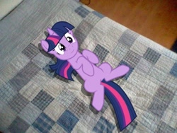 Size: 512x384 | Tagged: safe, derpibooru import, twilight sparkle, bed, irl, on back, photo, ponies in real life, solo, vector