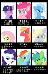 Size: 900x1400 | Tagged: artist needed, safe, derpibooru import, applejack, big macintosh, derpy hooves, fluttershy, pinkie pie, rainbow dash, rarity, trixie, twilight sparkle, oc, oc:horny dragon, earth pony, pegasus, pony, unicorn, alignment chart, chinese, male, mane six, stallion, translation request