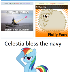 Size: 544x560 | Tagged: safe, pinkie pie, rainbow dash, earth pony, pegasus, pony, exploitable meme, juxtaposition, juxtaposition win, navy, photo