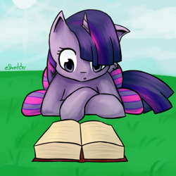 Size: 400x400 | Tagged: safe, artist:eshredder, derpibooru import, twilight sparkle, book, clothes, reading, socks, solo, striped socks