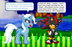 Size: 1024x670 | Tagged: safe, artist:beewinter55, derpibooru import, trixie, crossover, pixel art, shadow the hedgehog, sonic the hedgehog (series)