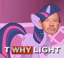 Size: 490x442 | Tagged: safe, derpibooru import, twilight sparkle, meme, solo, tony kornheiser, why.jpg