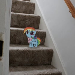 Size: 700x700 | Tagged: safe, artist:insanesquirrel13776, rainbow dash, pony, bow, cute, filly, irl, photo, ponies in real life, stairs