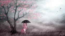 Size: 1920x1080 | Tagged: safe, artist:enigmaticalme, pinkie pie, bird, earth pony, pony, cherry blossoms, crying, sad, solo, tree, umbrella