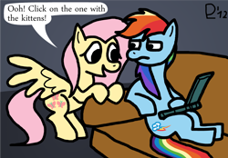 Size: 1000x694 | Tagged: safe, artist:leidenpierce, fluttershy, rainbow dash, pegasus, pony, cat videos, computer, laptop computer