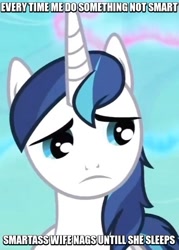 Size: 395x553 | Tagged: safe, shining armor, pony, unicorn, image macro, meme, sad, solo, vulgar