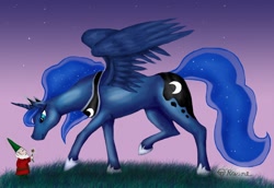 Size: 1600x1102 | Tagged: safe, artist:mcat711, princess luna, alicorn, gnome, pony, flower, solo