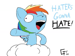 Size: 1400x1050 | Tagged: safe, artist:wonder-waffle, rainbow dash, pegasus, pony, blue coat, female, haters gonna hate, mare, meme, multicolored mane, solo