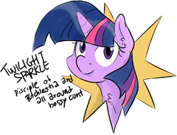 Size: 1071x820 | Tagged: source needed, useless source url, safe, artist:sweethd, derpibooru import, twilight sparkle, bust, looking at you, portrait, solo, vulgar
