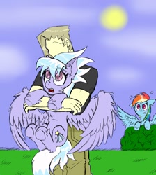 Size: 850x950 | Tagged: safe, artist:ichibangravity, derpibooru import, cloudchaser, rainbow dash, oc, oc:anon, human, pony, bush, holding a pony, jealous, observer, tsundere