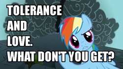 Size: 639x359 | Tagged: safe, screencap, rainbow dash, pegasus, pony, dragonshy, caption, image macro, love and tolerance