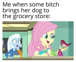 Size: 1433x1176 | Tagged: safe, derpibooru import, edit, edited screencap, editor:apex soundwave, screencap, fluttershy, trixie, bird, better together, equestria girls, caption, classroom, duo, female, image macro, raised eyebrow, text, vulgar