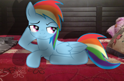 Size: 2736x1800 | Tagged: safe, artist:krissi2197, rainbow dash, pegasus, pony, blue coat, draw me like one of your french girls, female, mare, multicolored mane, solo, sultry pose