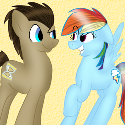 Size: 700x700 | Tagged: safe, artist:bookfangeek, doctor whooves, rainbow dash, pegasus, pony, female, male, mare, stallion