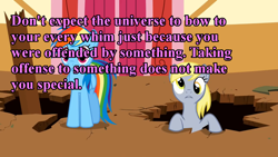 Size: 1264x711 | Tagged: safe, derpy hooves, rainbow dash, pegasus, pony, bronyetiquette, female, meta, parody, text