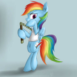 Size: 2500x2500 | Tagged: safe, artist:rule1of1coldfire, rainbow dash, pegasus, pony, bipedal, clothes, female, high res, mare, nunchucks, shirt, signature, simple background, solo, tanktop