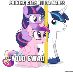 Size: 610x598 | Tagged: safe, artist:dm29, edit, princess cadance, shining armor, twilight sparkle, alicorn, pony, unicorn, exploitable meme, image macro, meme, op is a cuck, shining armor gets all the mares, simple background, transparent background, trio, yolo