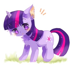 Size: 500x450 | Tagged: safe, artist:tsukuda, derpibooru import, twilight sparkle, cat, cat pony, original species, blushing, catified, chest fluff, cute, ear fluff, kitten, looking at you, pixiv, solo, species swap, twiabetes, twilight cat