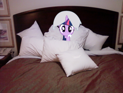 Size: 1280x960 | Tagged: safe, artist:bryal, derpibooru import, twilight sparkle, pony, bed, irl, photo, pillow, pillow hat, ponies in real life, solo, vector