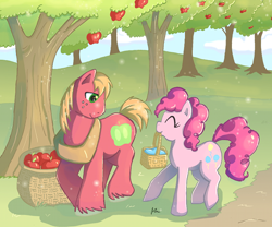 Size: 600x498 | Tagged: safe, artist:butterscotch25, big macintosh, pinkie pie, earth pony, pony, basket, male, pinkiemac, shipping, stallion, straight