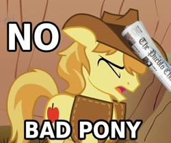 Size: 528x441 | Tagged: safe, edit, edited screencap, screencap, braeburn, over a barrel, bad pony, colonialism, colonist, cropped, humiliation, image macro, imperialism, imperialist, karma, newspaper, reaction image, solo, swatting