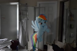 Size: 2464x1632 | Tagged: safe, artist:oppositebros, rainbow dash, pony, bathroom, irl, photo, ponies in real life, shadow, shower, vector