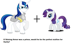 Size: 625x395 | Tagged: safe, rarity, shining armor, pony, unicorn, female, horn, mare, shipping, white coat