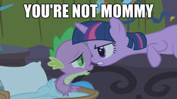 Size: 625x351 | Tagged: safe, derpibooru import, edit, edited screencap, screencap, spike, twilight sparkle, dragon, winter wrap up, caption, duo, image macro